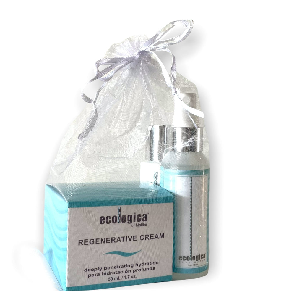 On the Go Travel Collection - ecologica Skincare of Malibu